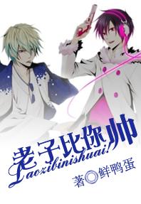 ���ӱ���˧��TXTȫ������