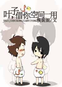 叶子,借你空间一用TXT全集封面