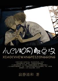 小cv和网配总攻TXT全集封面