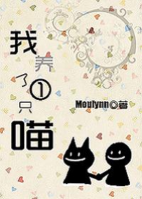 我养了一只喵TXT全集封面