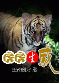 本命年之虎虎生威TXT全集封面