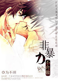 非暴力不合做TXT全集封面