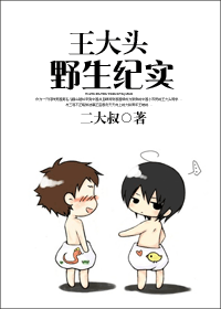 ����ͷҰ����ʵTXTȫ������