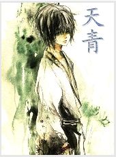 天青TXT全集封面