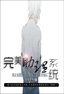 完美助理系统TXT全集封面