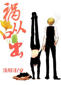 ���ӿڳ�TXTȫ������