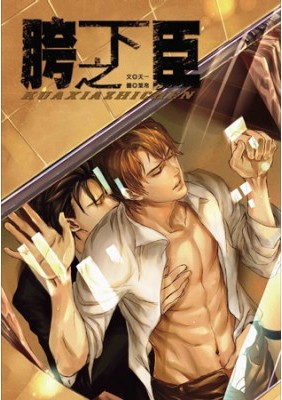 胯下之臣TXT全集封面