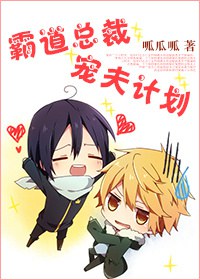 �Ե��ܲó��ƻ�