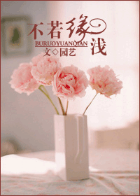 不若缘浅(甜文)TXT全集封面