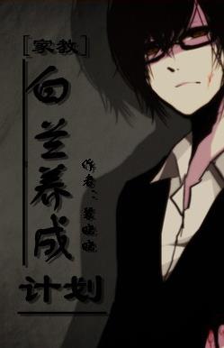 (家教同人)白兰养成计划TXT全集封面