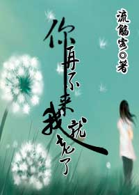 你再不来我就老了TXT全集封面