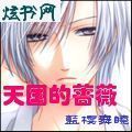 天国的蔷薇TXT全集封面