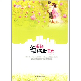 当御姐遇上正太TXT全集封面