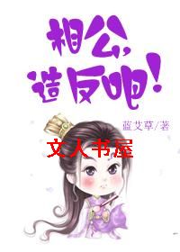 �๫,�췴�ɣ�TXTȫ������