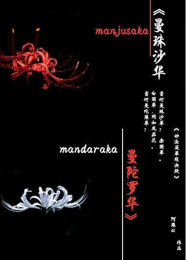 ����ɳ��,�����޻�