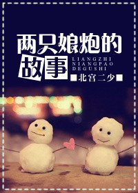 两只娘炮的故事TXT全集封面