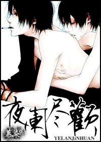 夜阑尽欢TXT全集封面