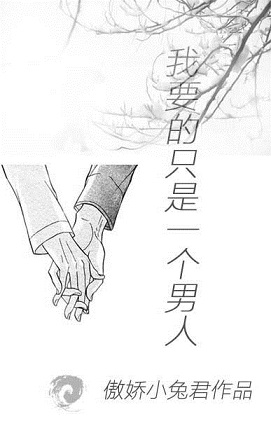 我要的只是一个男人TXT全集封面