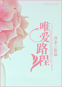 唯爱路程TXT全集封面