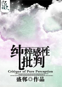 纯粹感性批判TXT全集封面