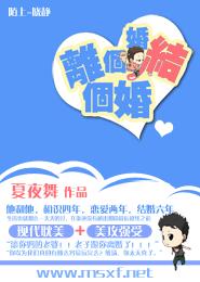 离个婚结个婚TXT全集封面