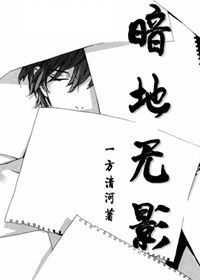 暗地无影TXT全集封面