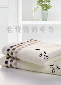 会说话的毛巾TXT全集封面