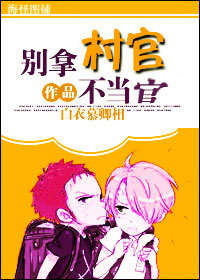 别拿村官不当官TXT全集封面