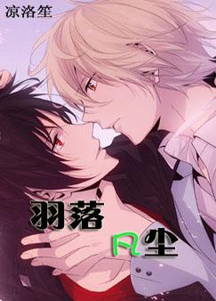 羽落凡尘TXT全集封面