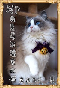 [hp]�����������ҵ�èTXTȫ������