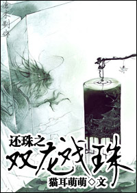 还珠之双龙戏珠TXT全集封面