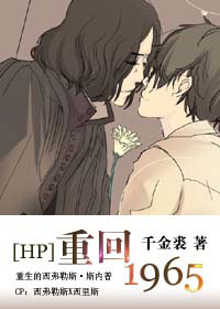 [hp]�ػ�1965TXTȫ������