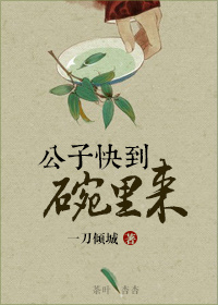 公子快到碗里来TXT全集封面