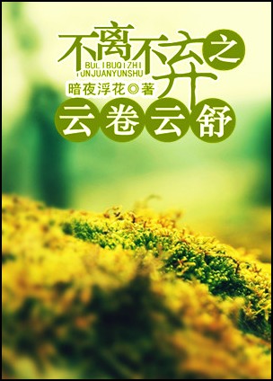 不离不弃之云卷云舒TXT全集封面