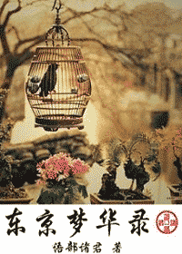 东京梦华录TXT全集封面